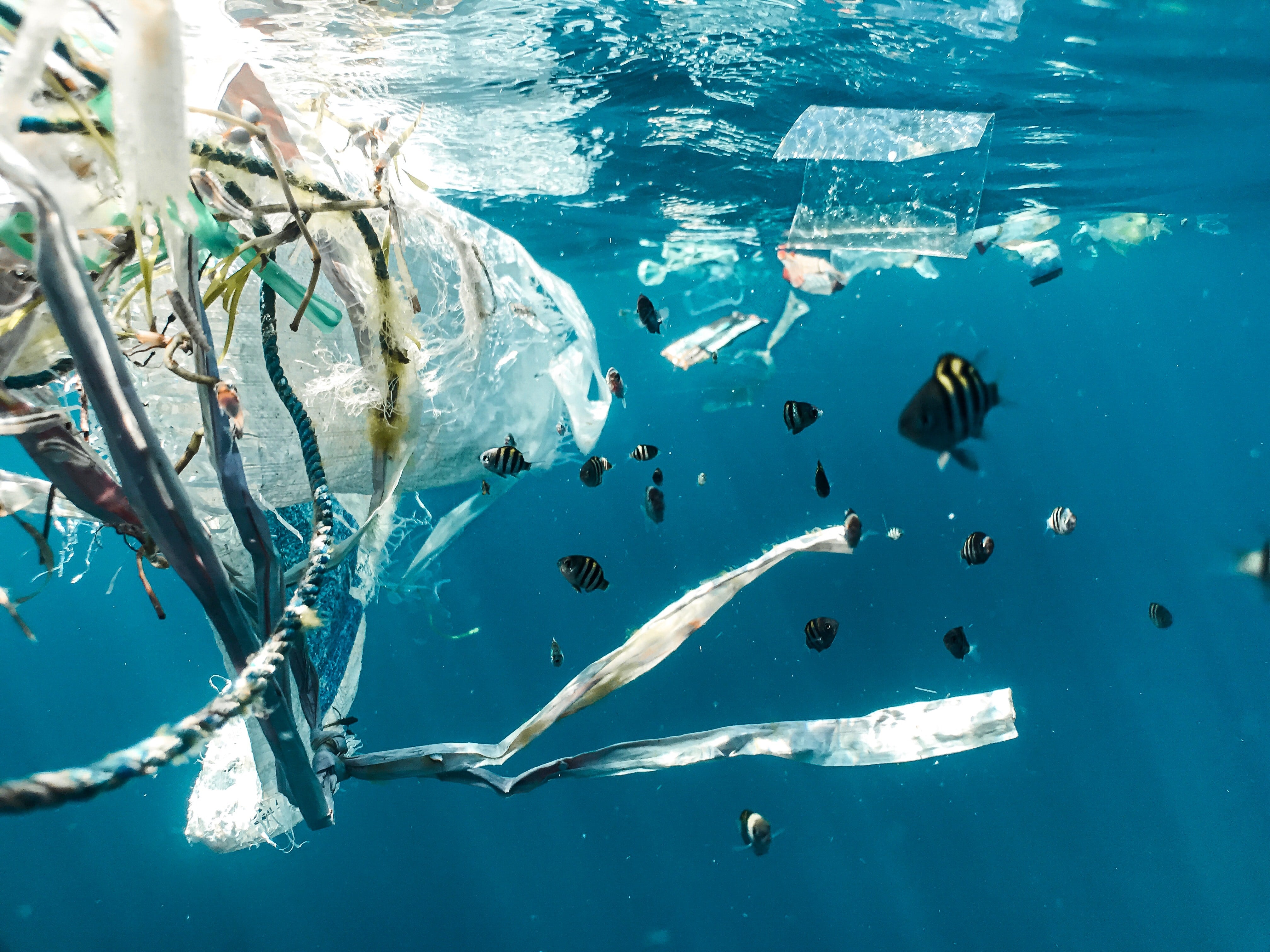 Help our Planet Break Free From Plastic